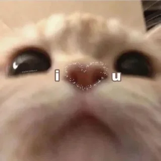❤️