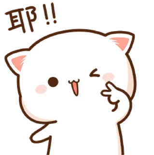 ✌