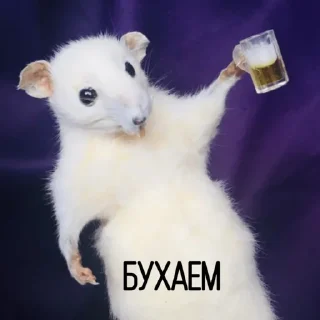 🍺
