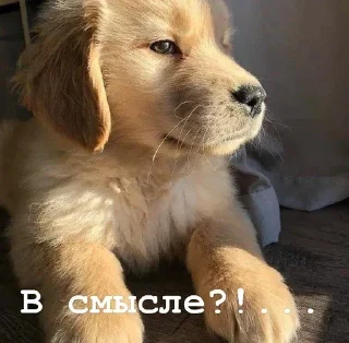 😑