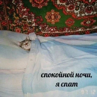 😴