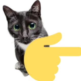 👉