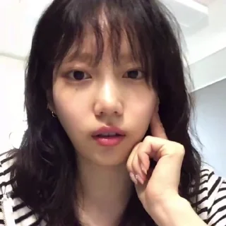 🦨