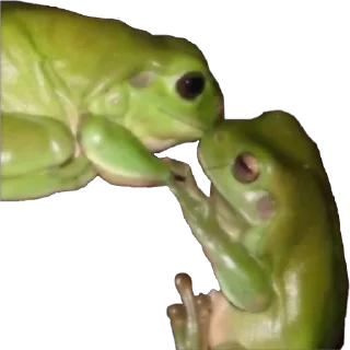 💋