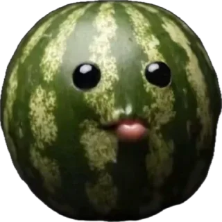 🍉