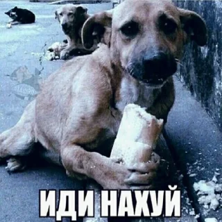 🍞