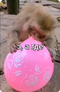 ❓