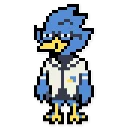 🦆