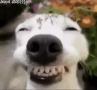 😁