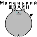 🐽