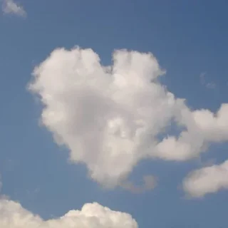 💖