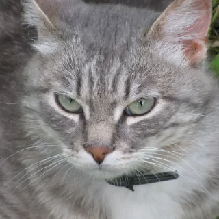 🤨