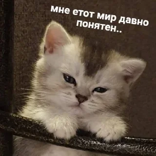 😔
