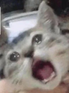 🥺