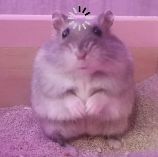 🤨
