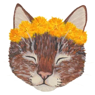 🌻