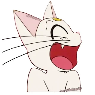 😹
