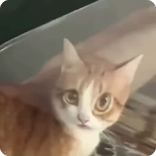 🤨