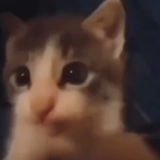 😘