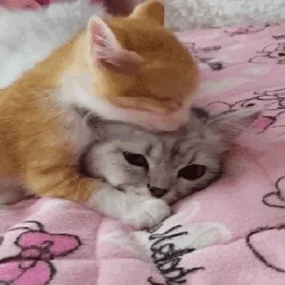 💗