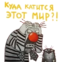 🙀