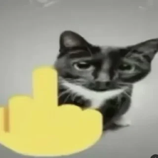 🖕