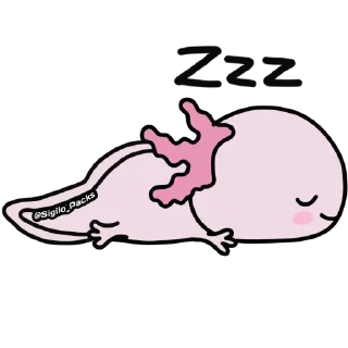 💗 Axolote @Sigilo_packs 💗