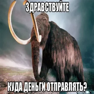 Мамонты @stickerytg