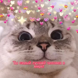 😊
