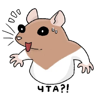 🐀