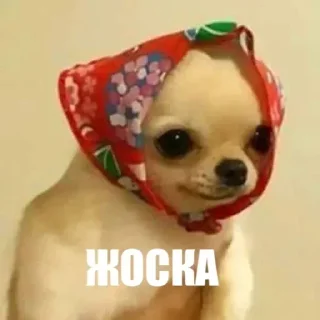 ☺️