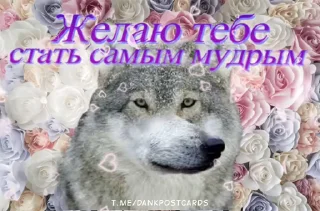 🌟