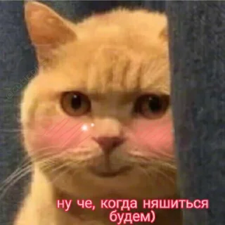 😏