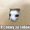 😜