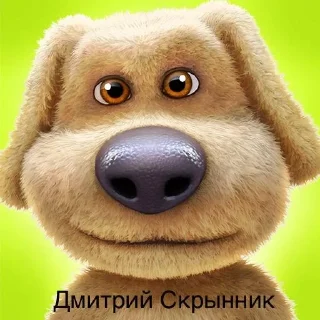 🐶