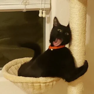 😛
