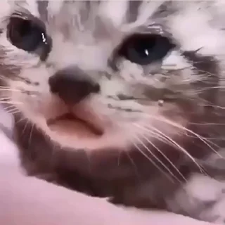💕