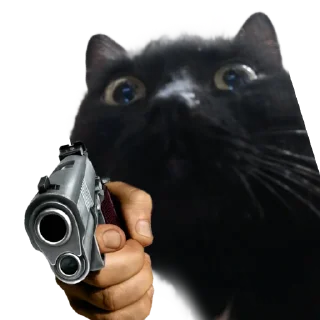 Котики с пистолетами
