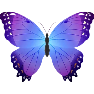 🦋