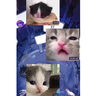 🥺