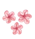 🌸