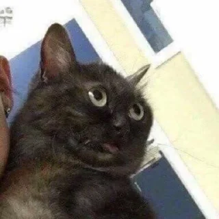 🤨