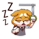 😴