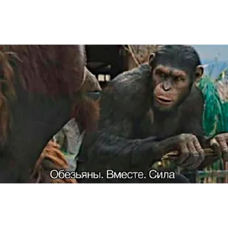👬