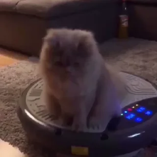 🤪