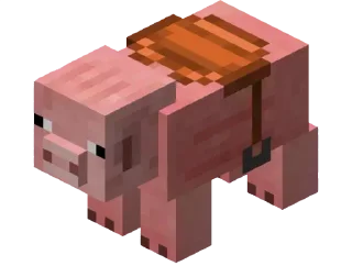 🐽