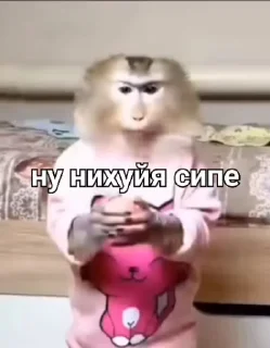 🌟