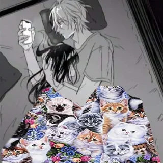 😿