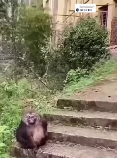 😏