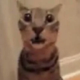🤯